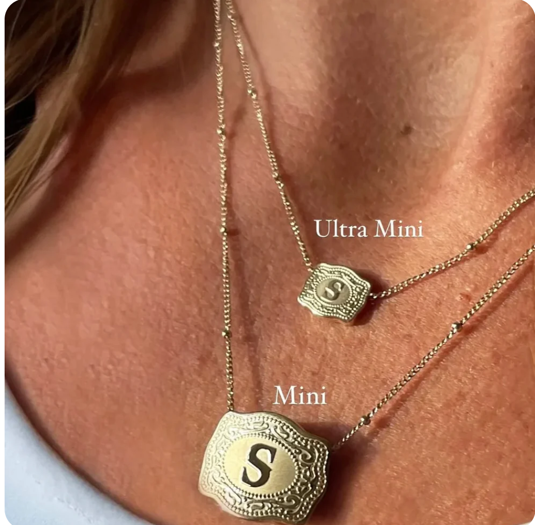 SliverSage's Handmade Buckle Necklace